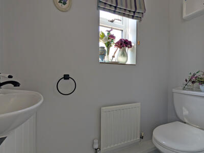Picture 11